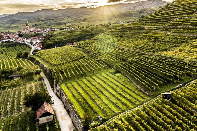 3 Castles & Wine Private Tour in Wachau Valley (incl. Melk Abbey) - Dürnstein, apricots, and a ruined castle