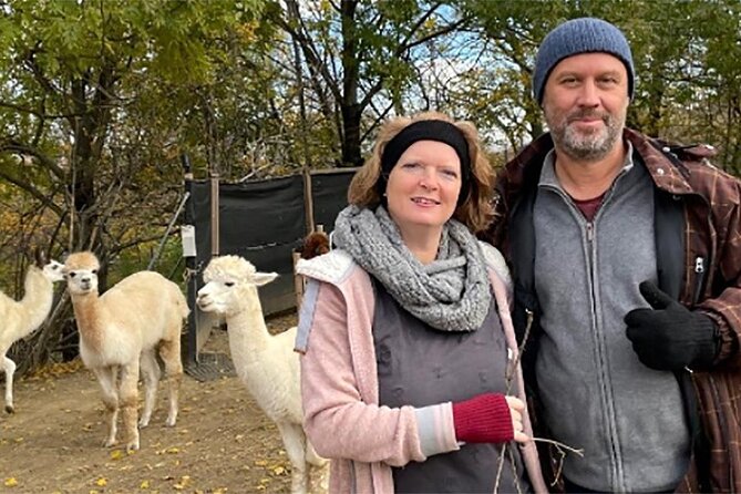 Alpaca and llama hike Moedling near Vienna - Meeting Karina Pöschl and choosing your alpaca or llama