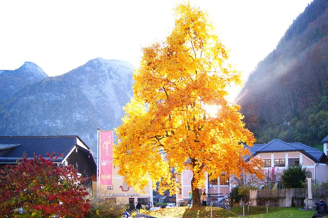 Alpine Hallstatt Day Trip from Vienna incl. Admont Abbey Visit - Is $167.75 good value from Vienna?