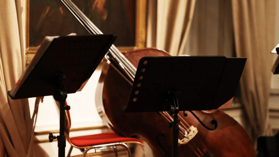 Best of Mozart & Strauss - Mozart opens the evening with familiar sparkle