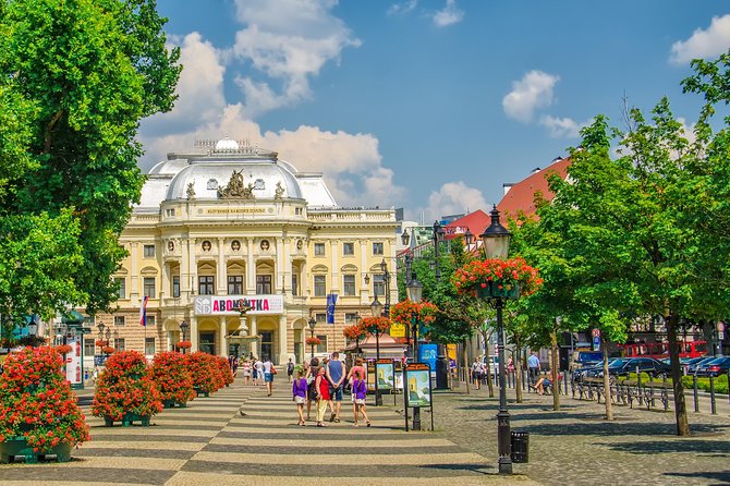 Bratislava Small-Group Day Trip from Vienna with Walk & Lunch - Finding the 9:50 bus at Vienna Hauptbahnhof