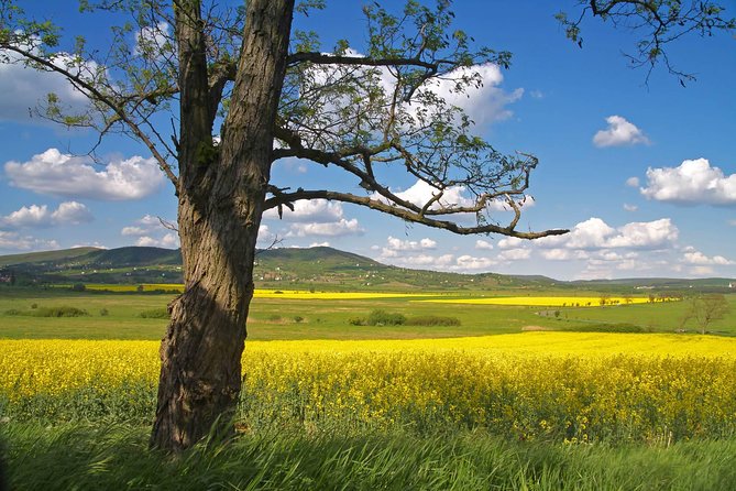 Budapest-Vienna One-Way Sightseeing Transfer - Esztergom Basilica and the Danube crossing
