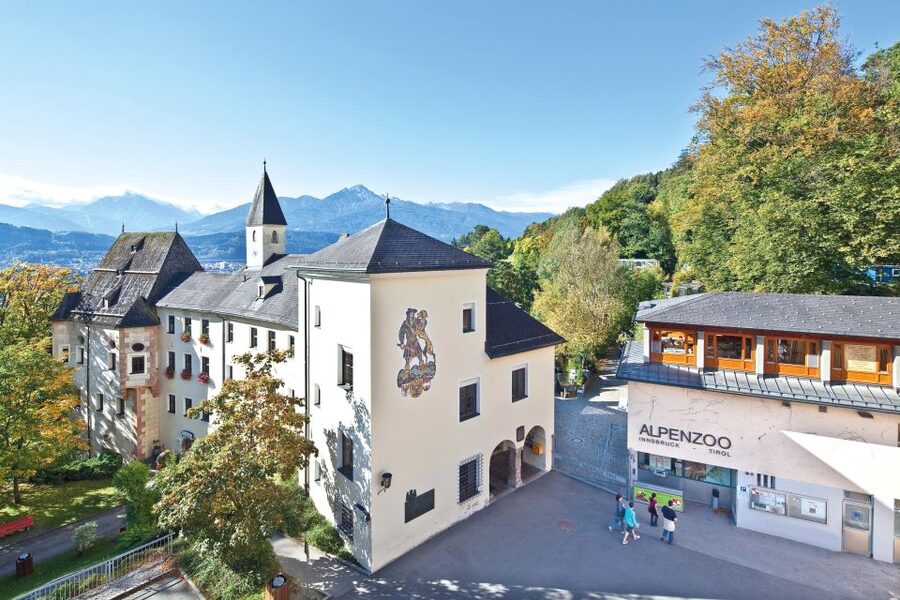Combi Entrance Ticket to Alpine Zoo and Hungerburg - Why the Alpine Zoo and Hungerburg make a smart pairing