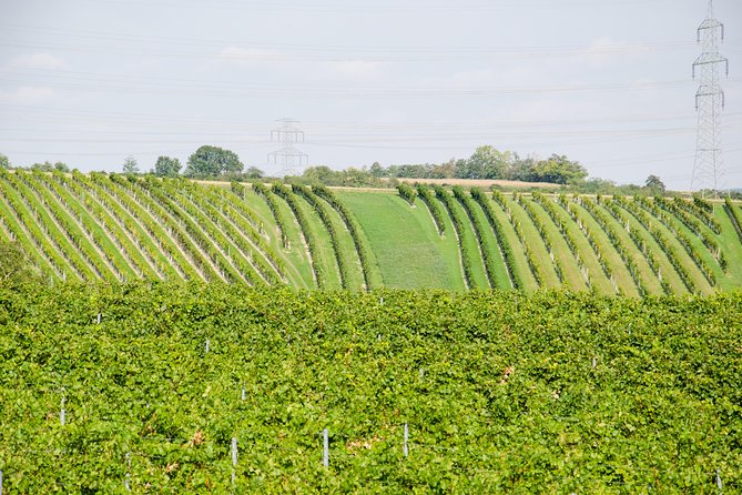 Countryside Half Day Wine Tour near Vienna - Second and third stops: the longer route is more relaxed