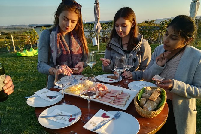 Countryside Half Day Wine Tour near Vienna - Guides set the tone