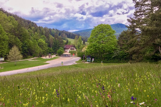 Exploring the Gutenstein Alps - From Vienna to Steinwandklamm in about an hour