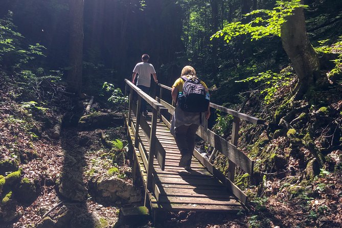 Exploring the Gutenstein Alps - Who should book this Gutenstein Alps hike?