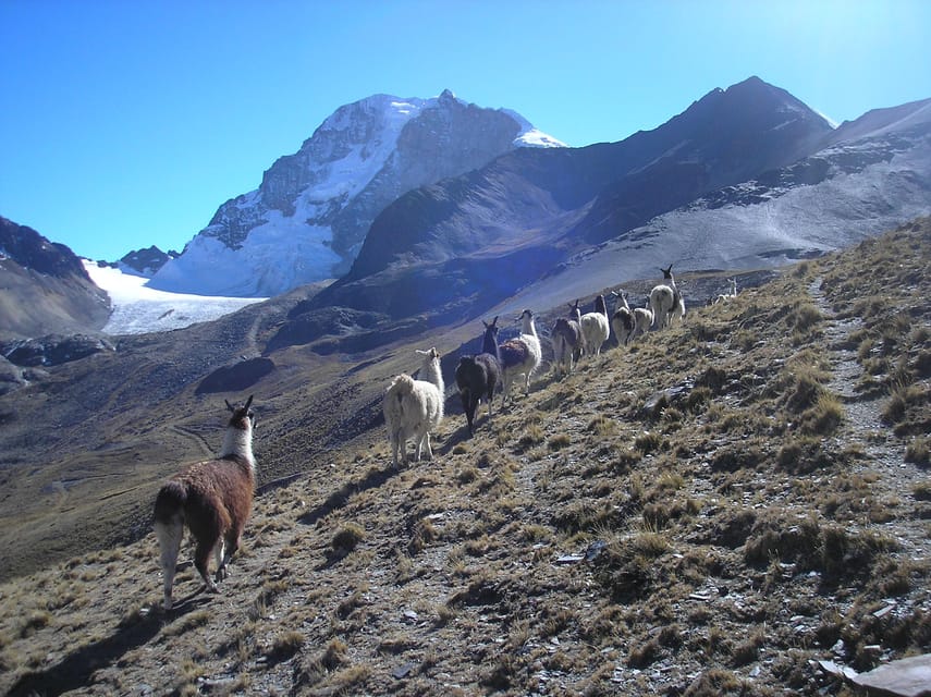 From La Paz: Condoriri Andes, Pico Austria Full Day Hiking - What the $140 price covers