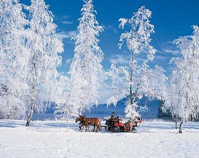 From Salzburg: 8-hour Horse-Drawn Tour w/ 2-hour Sleigh Ride - Key points to know before booking