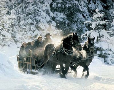 From Salzburg: 8-hour Horse-Drawn Tour w/ 2-hour Sleigh Ride - The two-hour horse-drawn sleigh ride