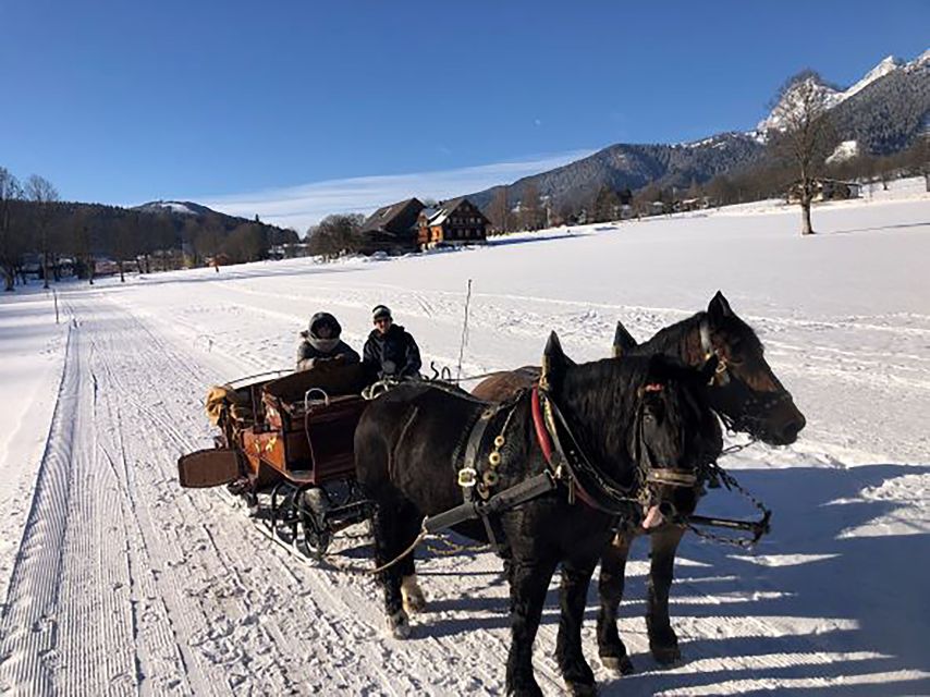 From Salzburg: 8-hour Horse-Drawn Tour w/ 2-hour Sleigh Ride - Who will enjoy this Ramsau day most