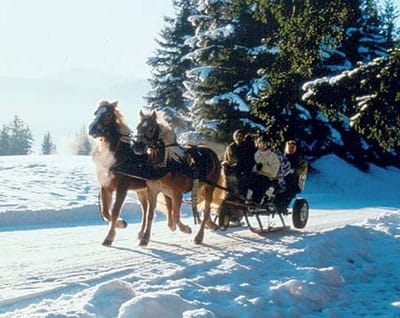 From Salzburg: 8-hour Horse-Drawn Tour w/ 2-hour Sleigh Ride - Five hours around Ramsau at high altitude