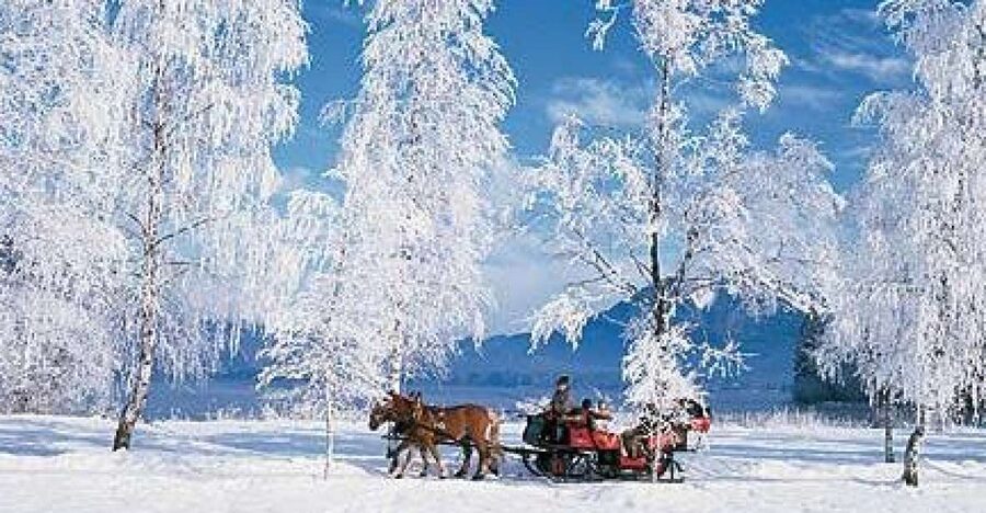 From Salzburg Romantic Carriage Ride through the Countryside - From Salzburg to Lake Wolfgang by private transfer