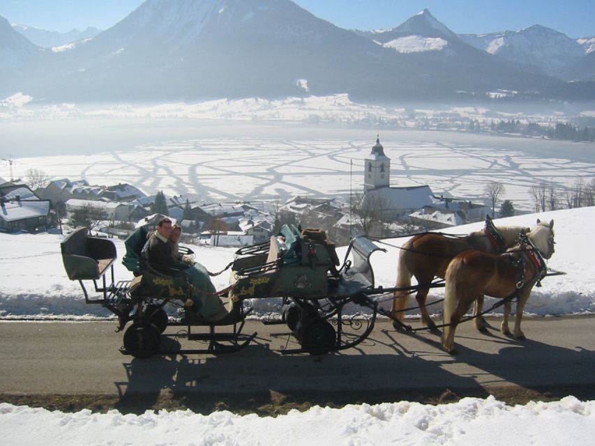 From Salzburg Romantic Carriage Ride through the Countryside - Why the sleigh is not guaranteed