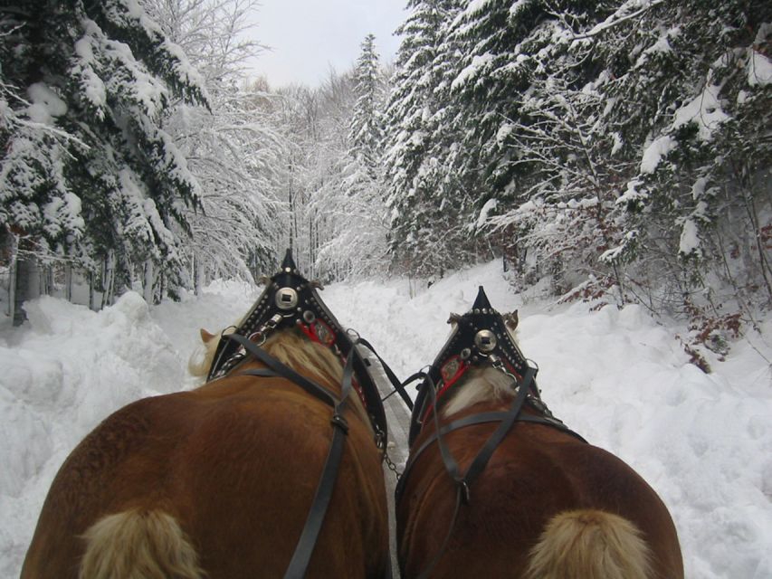 From Salzburg Romantic Carriage Ride through the Countryside - St Wolfgang and the shores of Lake Wolfgang