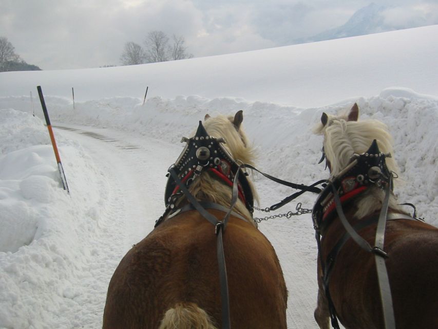 From Salzburg Romantic Carriage Ride through the Countryside - Is $883 good value for your group?