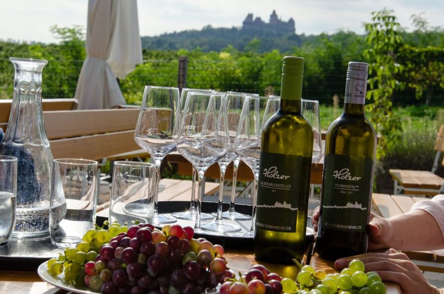 From Vienna: Half-day Countryside Wine Tour with Meal - Second winery and the choice between eight or twelve wines