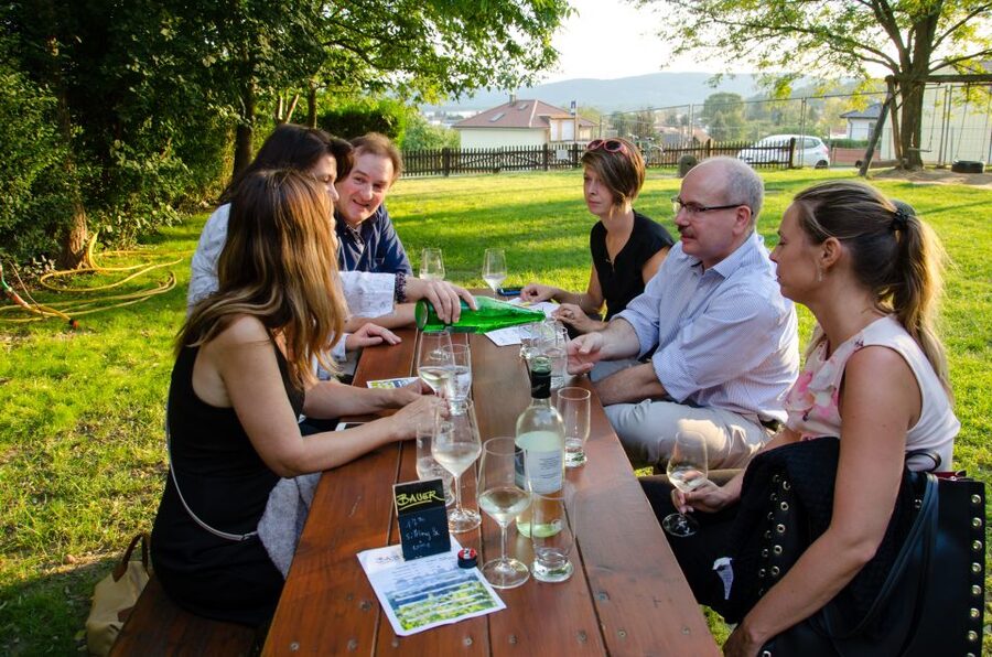 From Vienna: Half-day Countryside Wine Tour with Meal - What the $141 price really covers