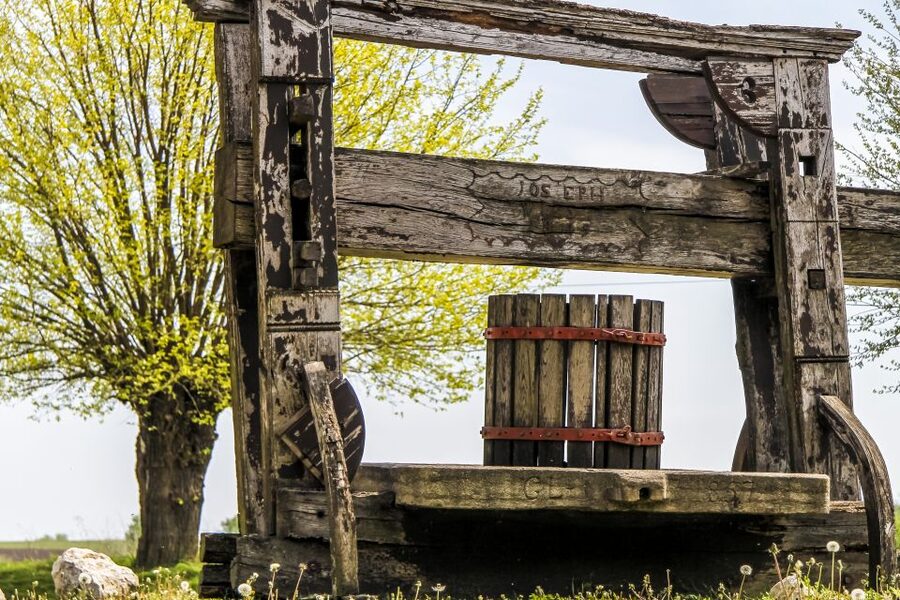 From Vienna: Half-day Countryside Wine Tour with Meal - The practical drawbacks to keep in mind