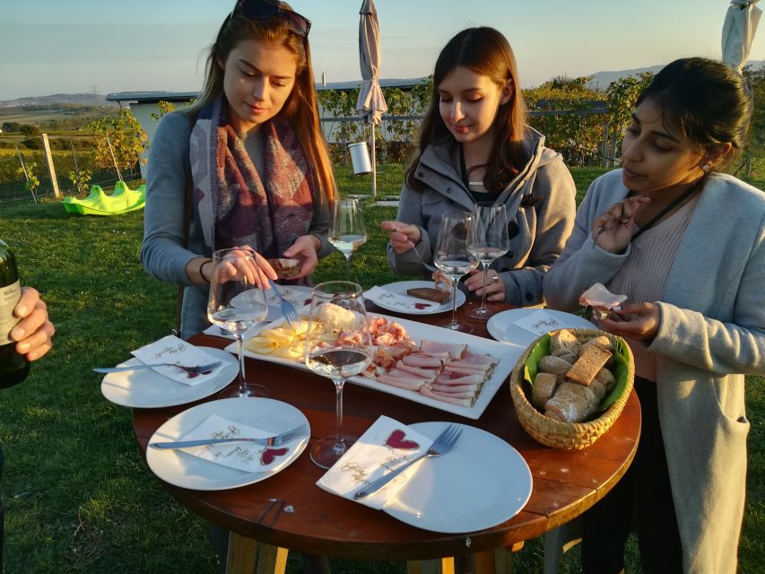 From Vienna: Half-day Countryside Wine Tour with Meal - Should you book the Vienna countryside wine tour?
