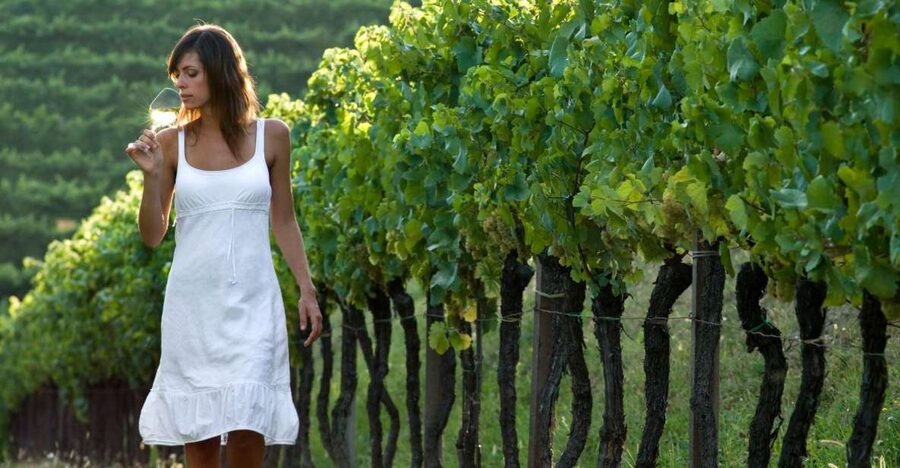From Vienna: Half-day Countryside Wine Tour with Meal - First cellar, first taste of family wine