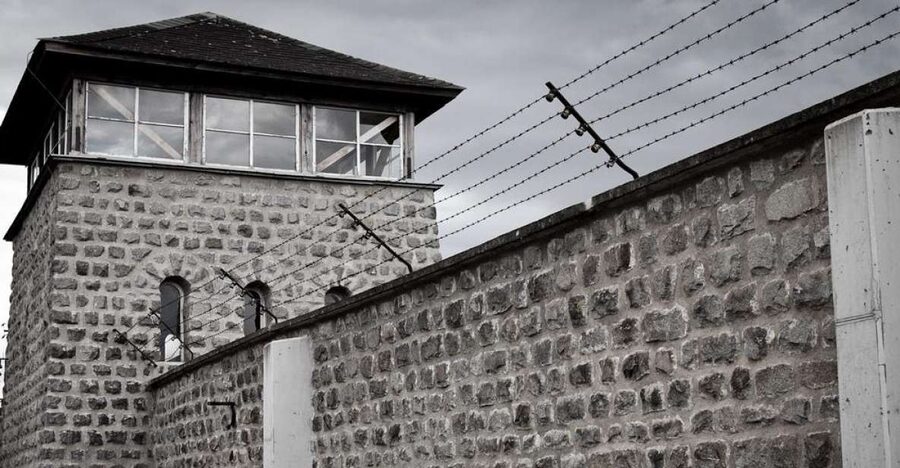 From Vienna: Mauthausen Memorial Private Day Trip - Why Mauthausen deserves a full day from Vienna