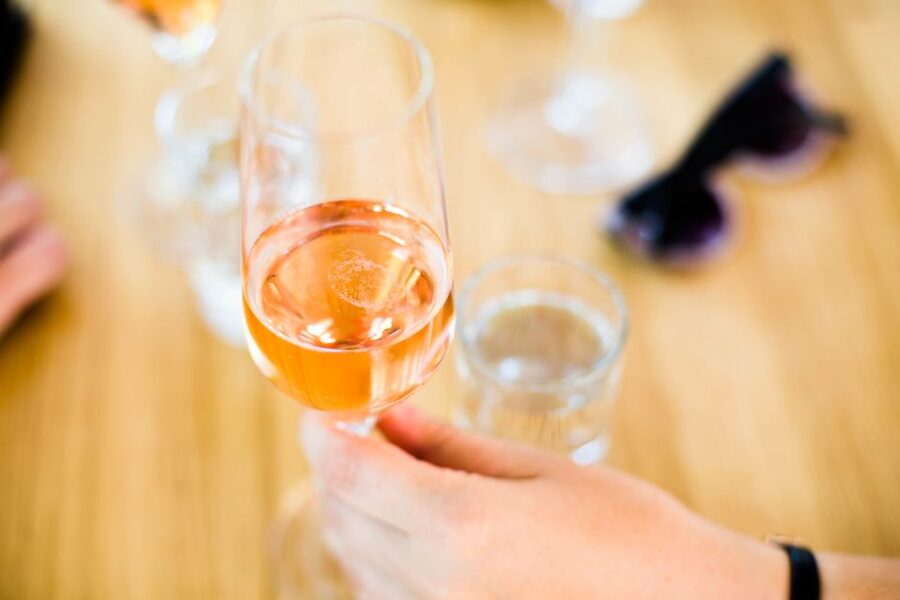 From Vienna: Wachau Valley Day Tour with Wine Tasting - Who should book this Wachau day trip