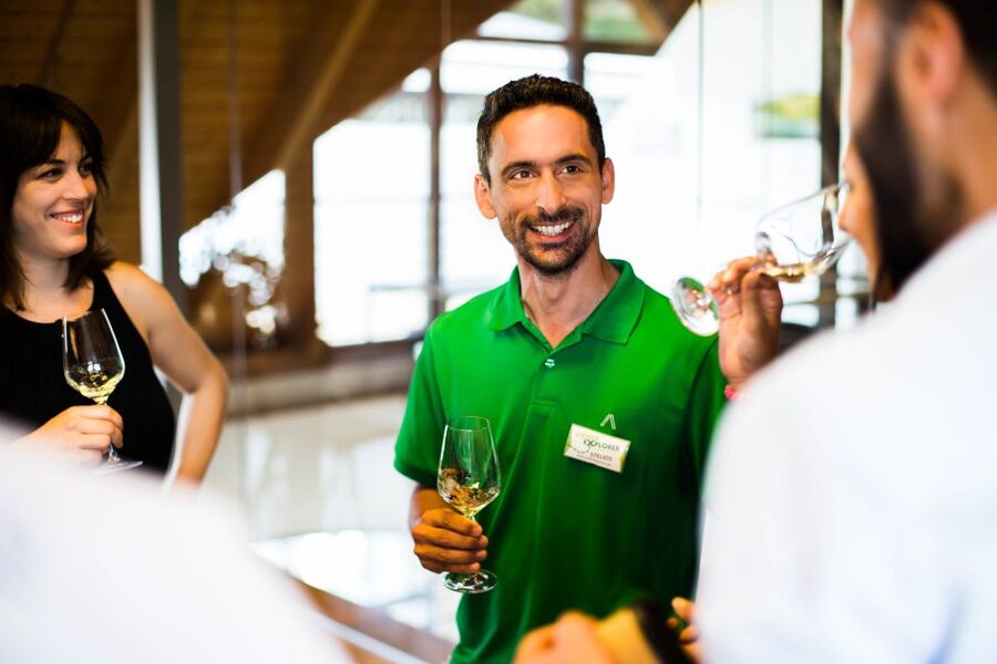 From Vienna: Wachau Valley Day Tour with Wine Tasting - Dürnstein, castle views, and one hour to roam