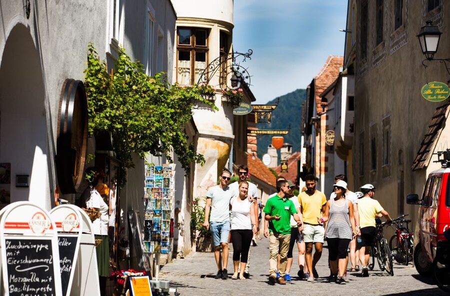 From Vienna: Wachau Valley Day Tour with Wine Tasting - Lunch in Weißenkirchen and the family-run tavern