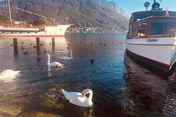 Fully private - SALZBURG, HALLSTATT & MELK ABBEY! - One long day from Vienna to Austria’s western sights