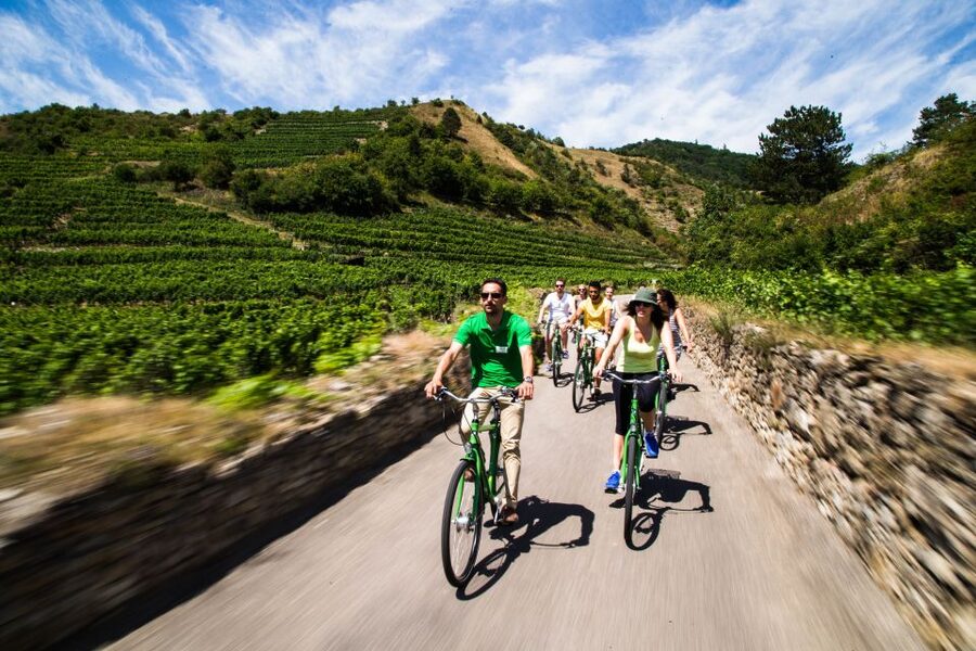 Grape Grazing: Wachau Valley Winery Biking Tour - Key points to know before you book