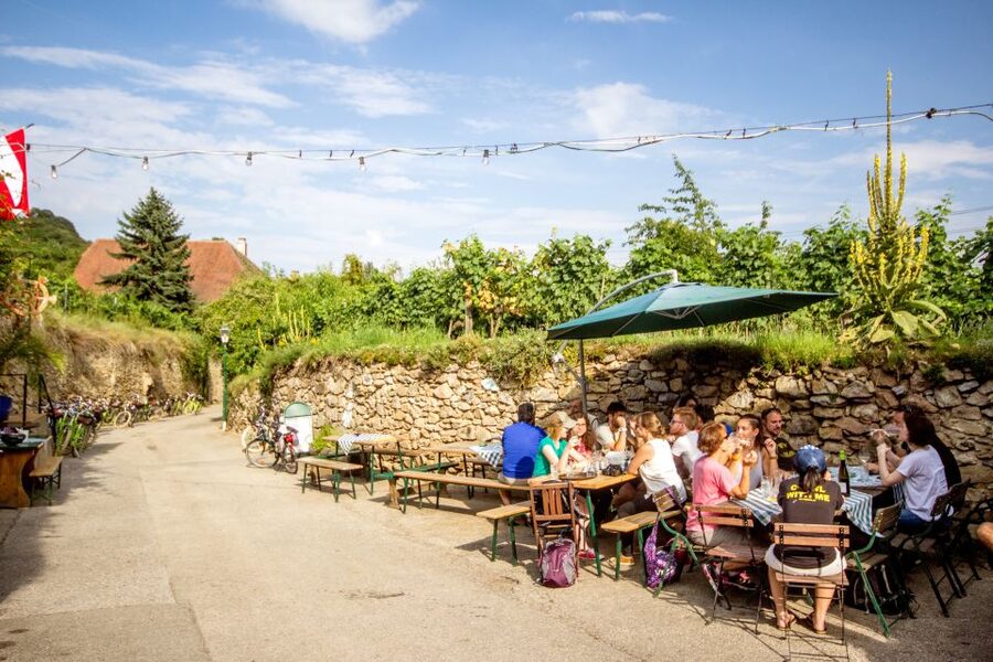 Grape Grazing: Wachau Valley Winery Biking Tour - Weather, group size, and what to pack
