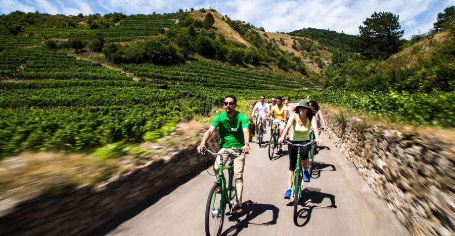 Grape Grazing: Wachau Valley Winery Biking Tour - Dürnstein combines wine, ruins, and free time