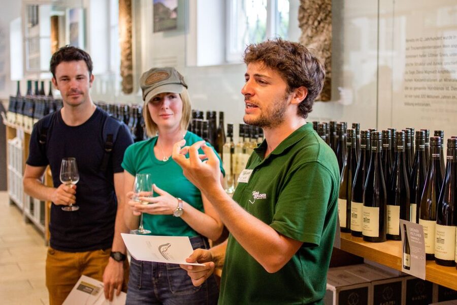 Grape Grazing: Wachau Valley Winery Biking Tour - Lunch at a family-run tavern