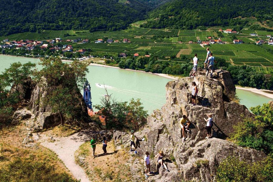 Grape Grazing: Wachau Valley Winery Biking Tour - The second winery feels more local