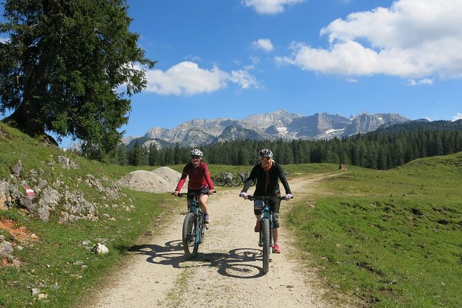Guided e-bike tour of the alpine pastures in the Salzkammergut - Iglmoosalm and the first alpine reward