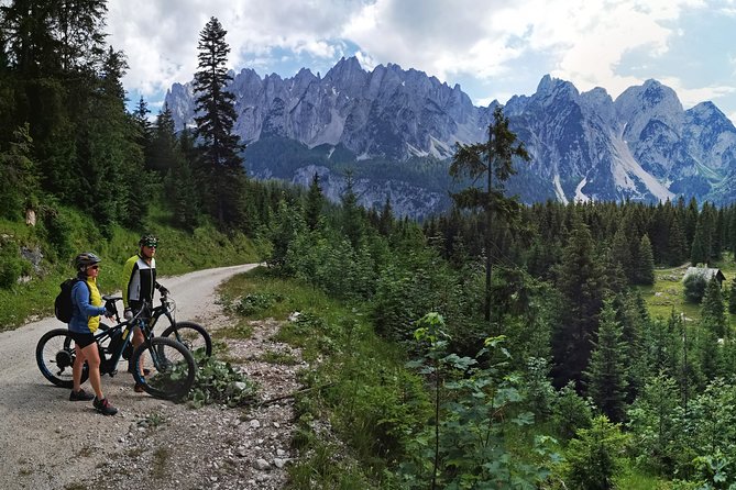 Guided e-bike tour of the alpine pastures in the Salzkammergut - Roßalm, cows, and a slower mountain rhythm