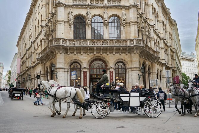 Guided Walking Tour of Vienna City Center Highlights - Vienna State Opera and the culture of the Ring