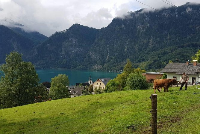 Hallstatt Small-Group Day Trip from Vienna - What the minivan ride is really like