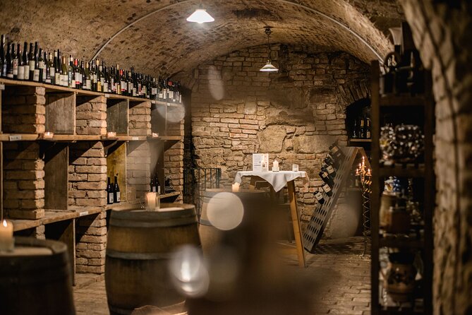 Hidden Wine Cellars Vienna - on the tracks of the Viennese wines - What makes Vienna’s cellars worth seeing
