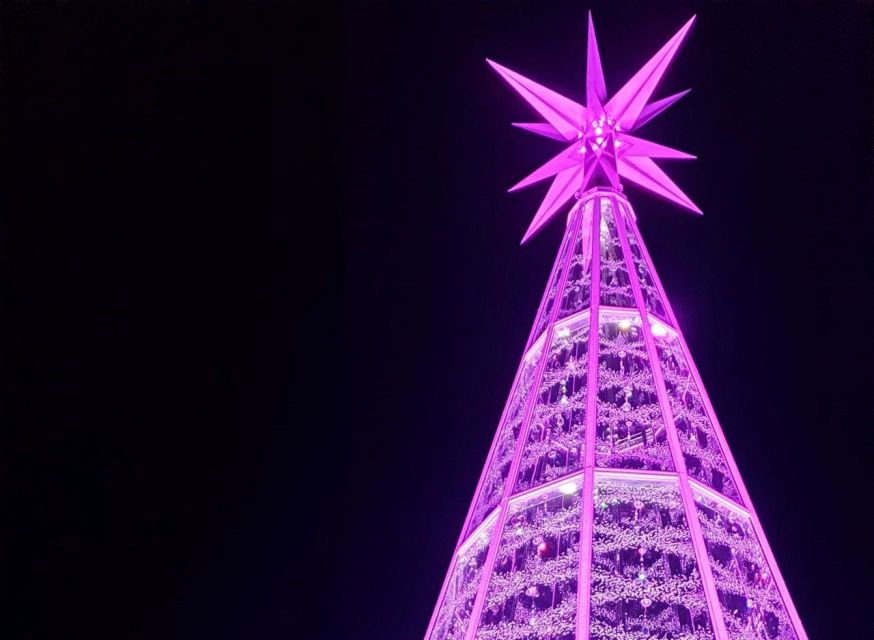 Innsbruck: Christmas Tour with a licensed guide - Should you book this Innsbruck Christmas tour?