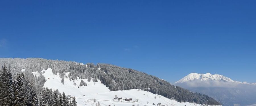 Innsbruck: Christmas Tour with a licensed guide - Innsbruck’s old town and the city’s oldest Christmas market