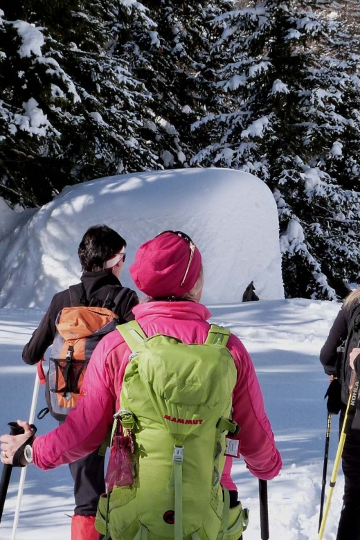 Innsbruck: Priv. Guided Snowy Mountain Hike /Snowshoe´s - Key points to know before you book