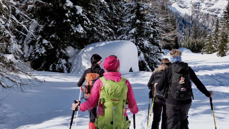 Innsbruck: Priv. Guided Snowy Mountain Hike /Snowshoe´s - A private snow day above Innsbruck