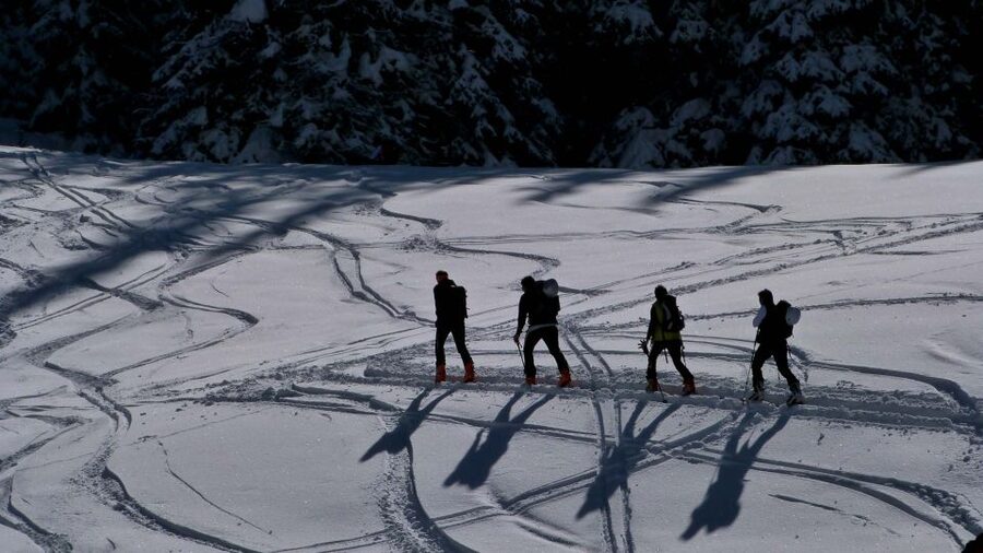 Innsbruck: Priv. Guided Snowy Mountain Hike /Snowshoe´s - The guide makes the biggest difference
