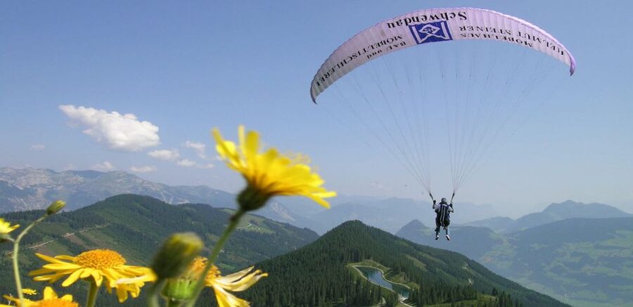 Mayrhofen: Paragliding Flight Experience Over Mountains - What you can do during the flight