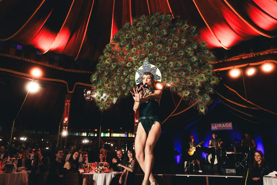 Mirage Vienna: Burlesque Spectacular – Dinner Show - Burlesque, acrobatics, and variety acts