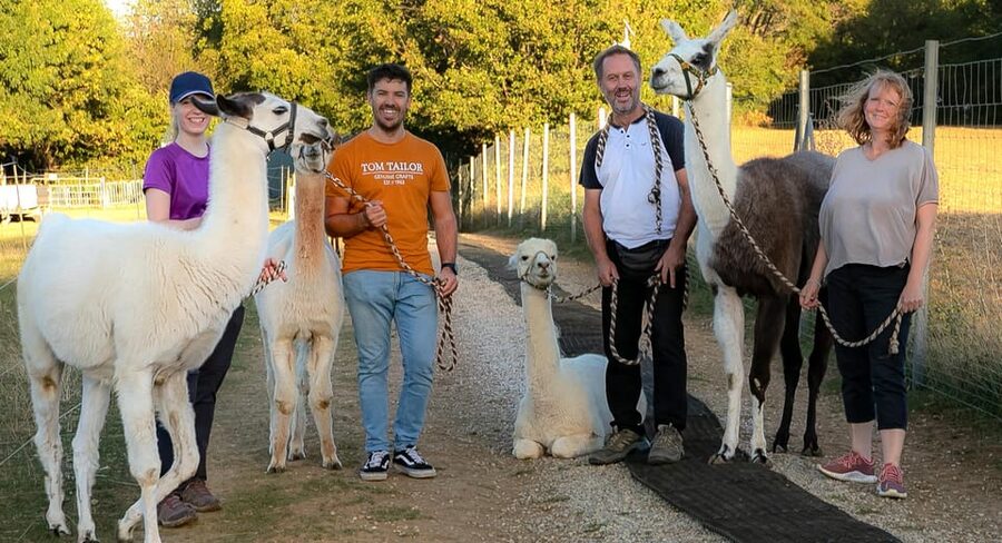 Mödling/Vienna: Scenic Guided Hike with Alpacas and Llamas - Family rules and who should book