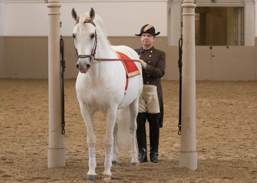 Performance Of The Lipizzans At Spanish Riding School - What to notice during the show