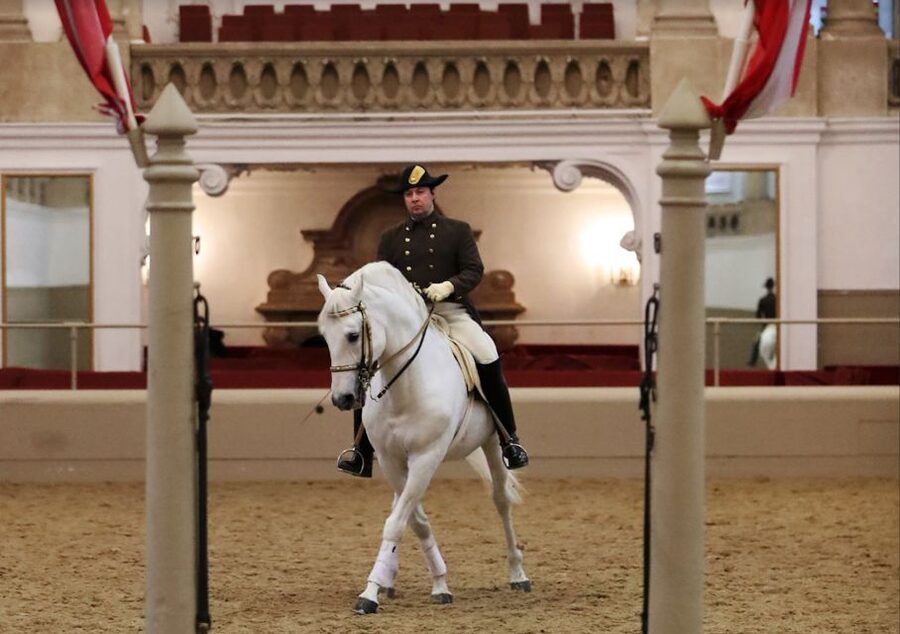 Performance Of The Lipizzans At Spanish Riding School - A cultural tradition with UNESCO recognition
